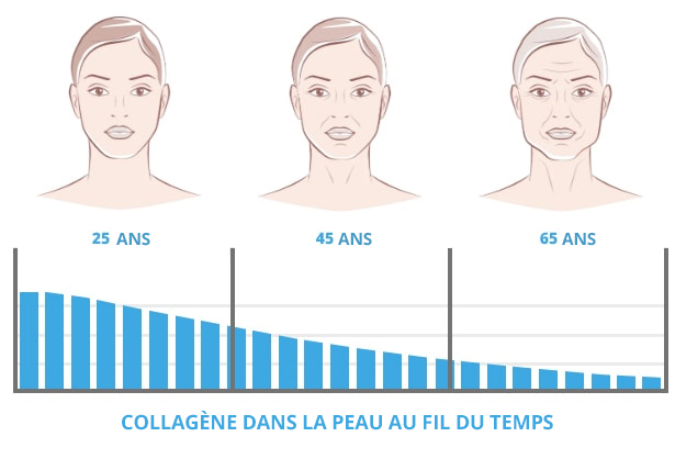 Premium Collagen Complex Premium Collagen Complex