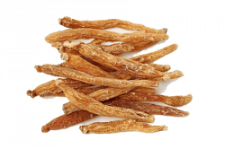rdeciginseng-250x166 rdeciginseng-250x166